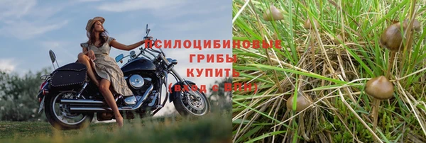 соль курить ск Вязьма