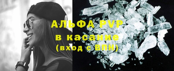 сатива Володарск