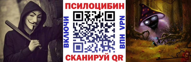 Псилоцибиновые грибы прущие грибы как найти закладки Щучье